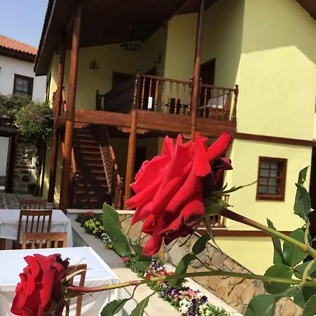 特克里考纳克拉里酒店 安塔利亚